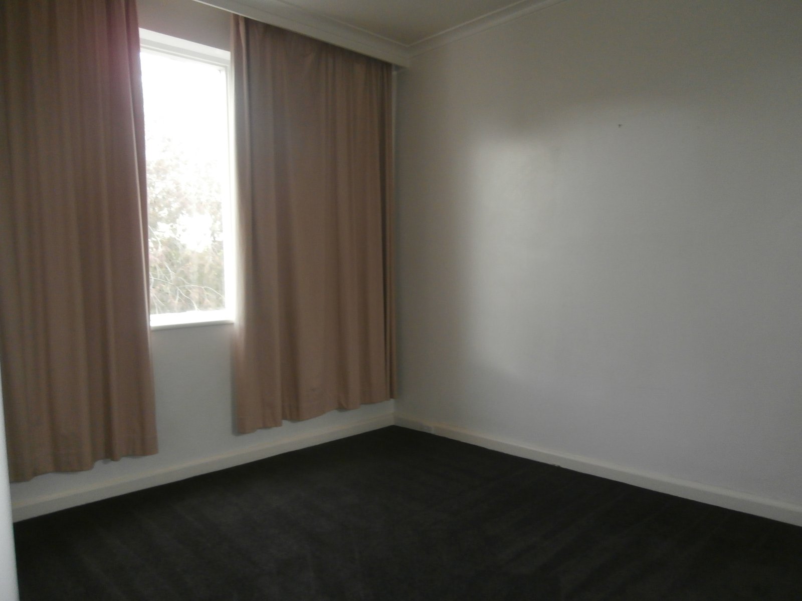 Gallery: 40/6 Williams Road