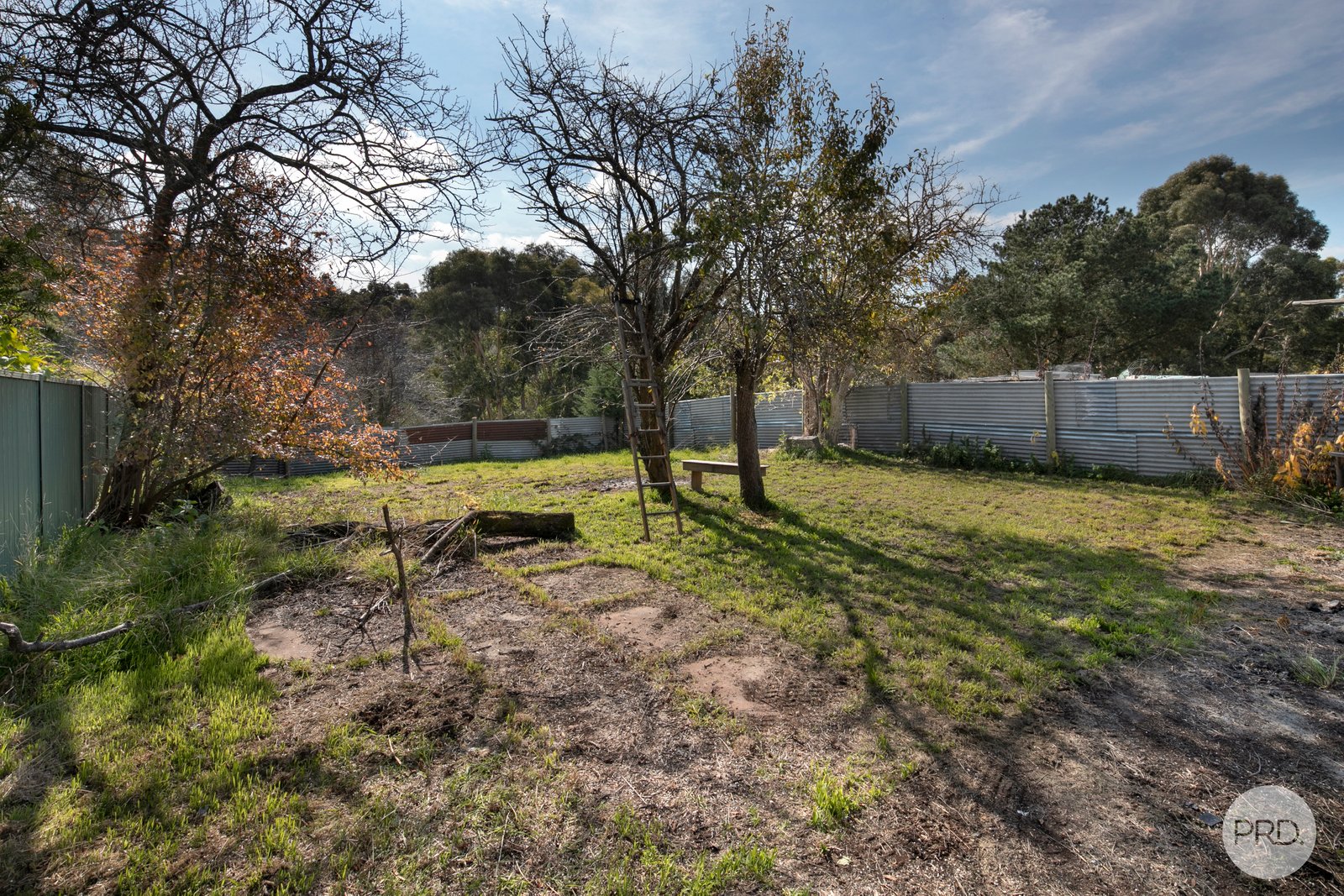 407 Finch Street BALLARAT EAST 6