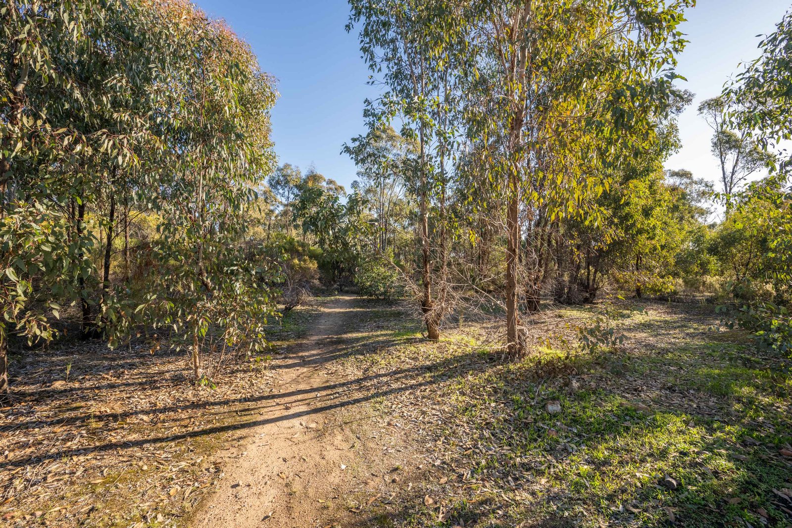 4076A Bendigo-Murchison Road RUSHWORTH 18