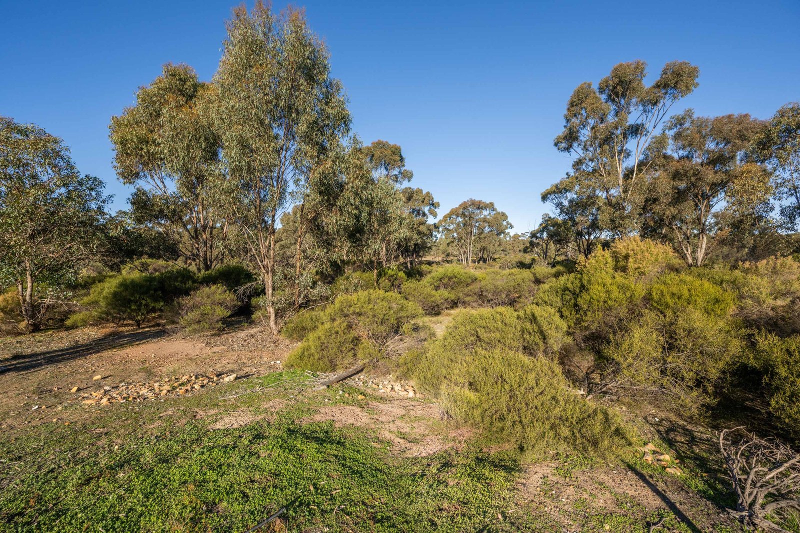 4076A Bendigo-Murchison Road RUSHWORTH 19