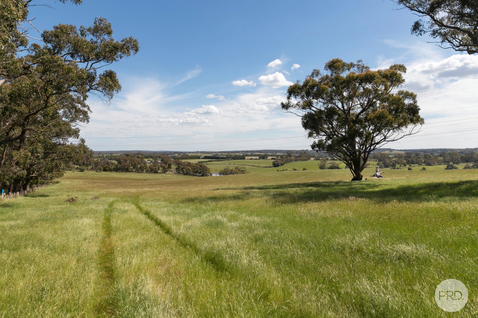408 Skeltons Road SCOTSBURN 3
