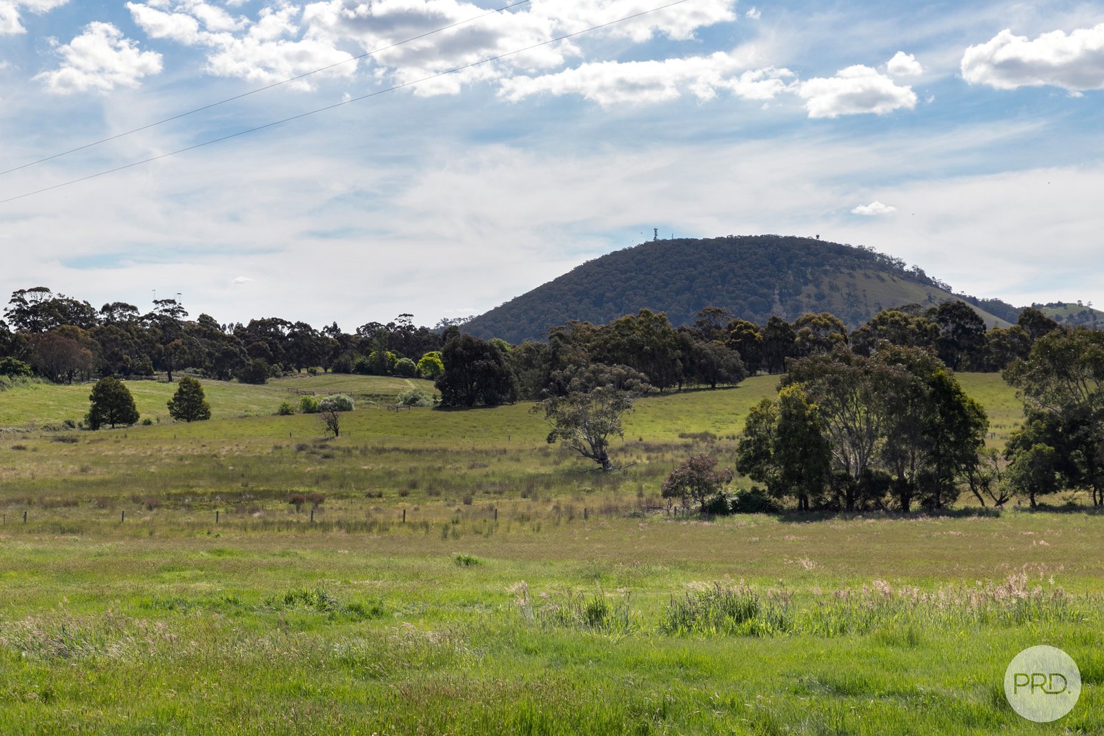 408 Skeltons Road SCOTSBURN 8