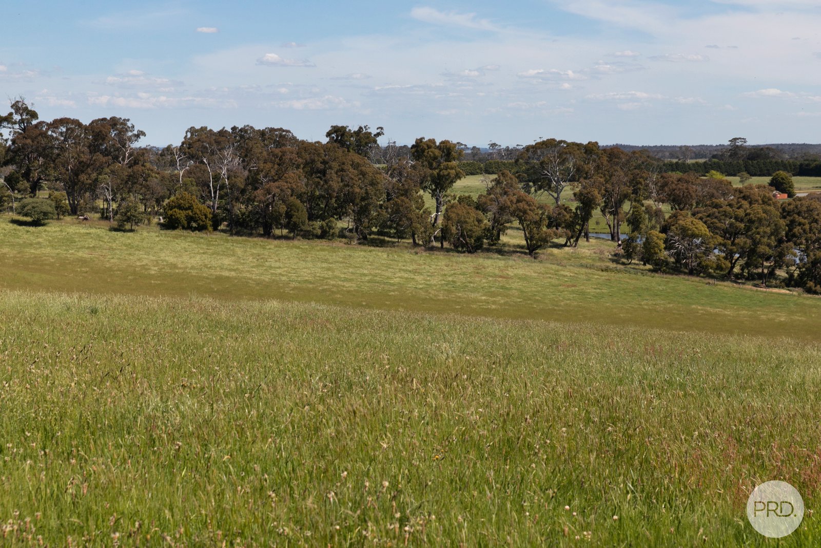 408 Skeltons Road SCOTSBURN 10