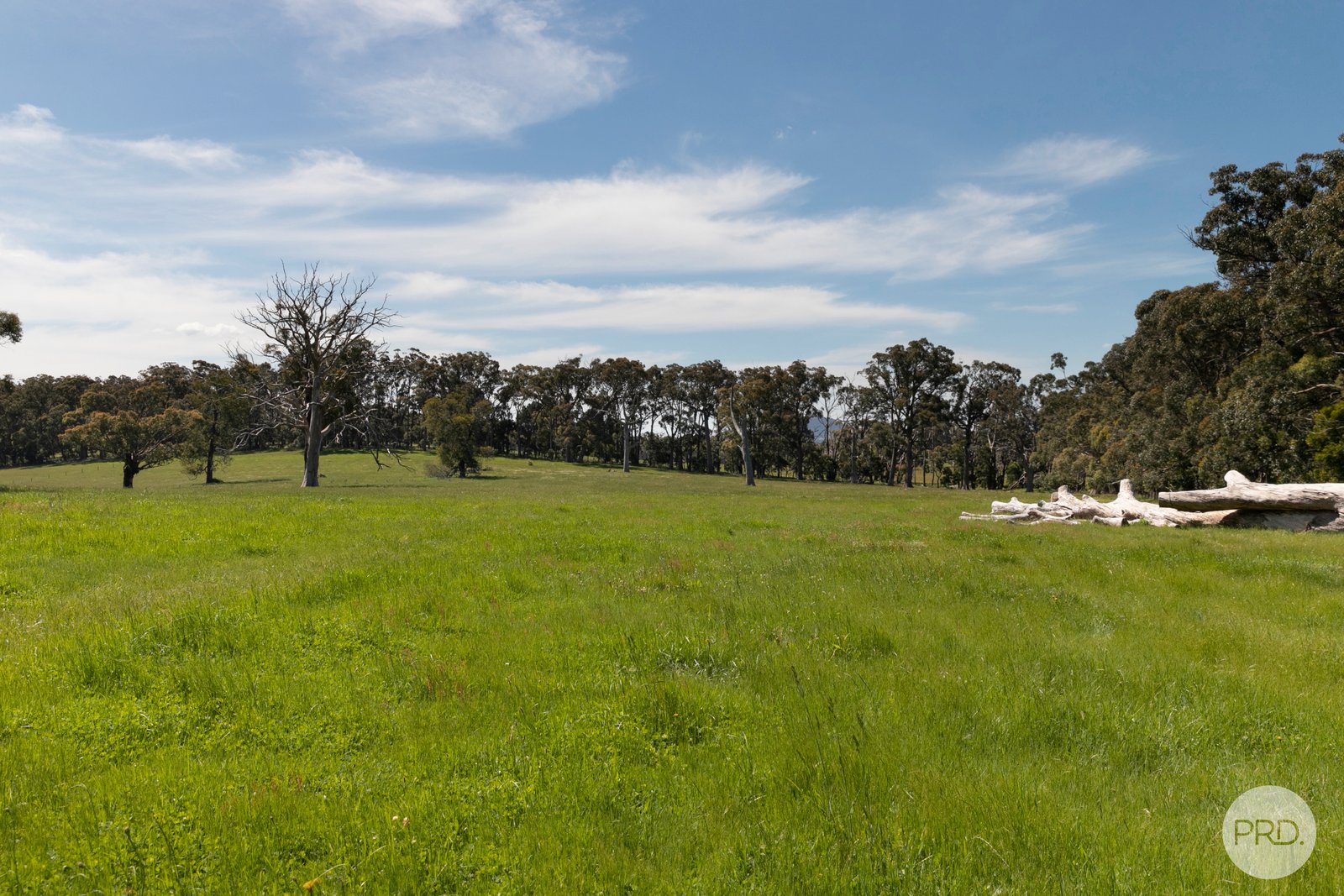 408 Skeltons Road SCOTSBURN 11