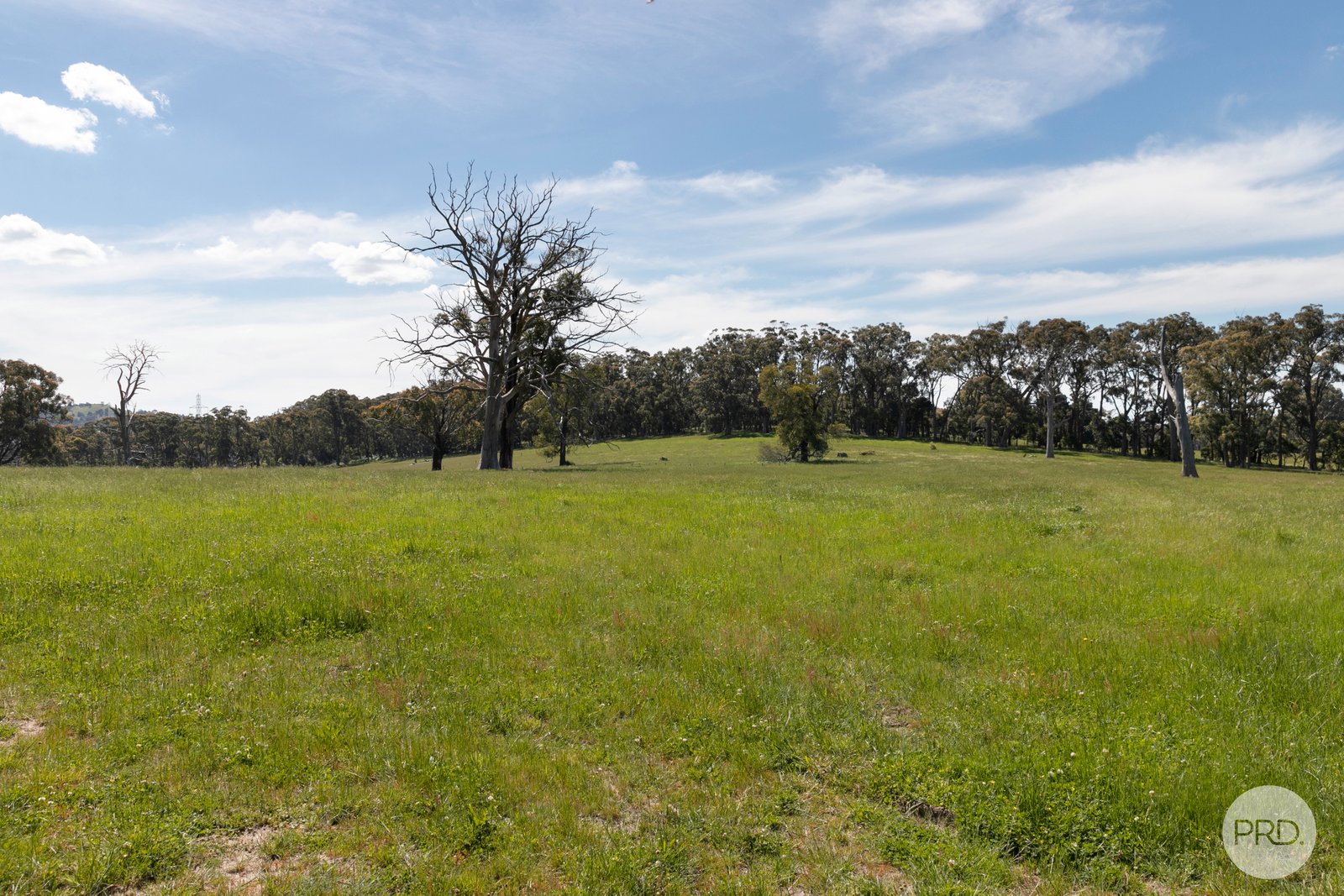 408 Skeltons Road SCOTSBURN 12