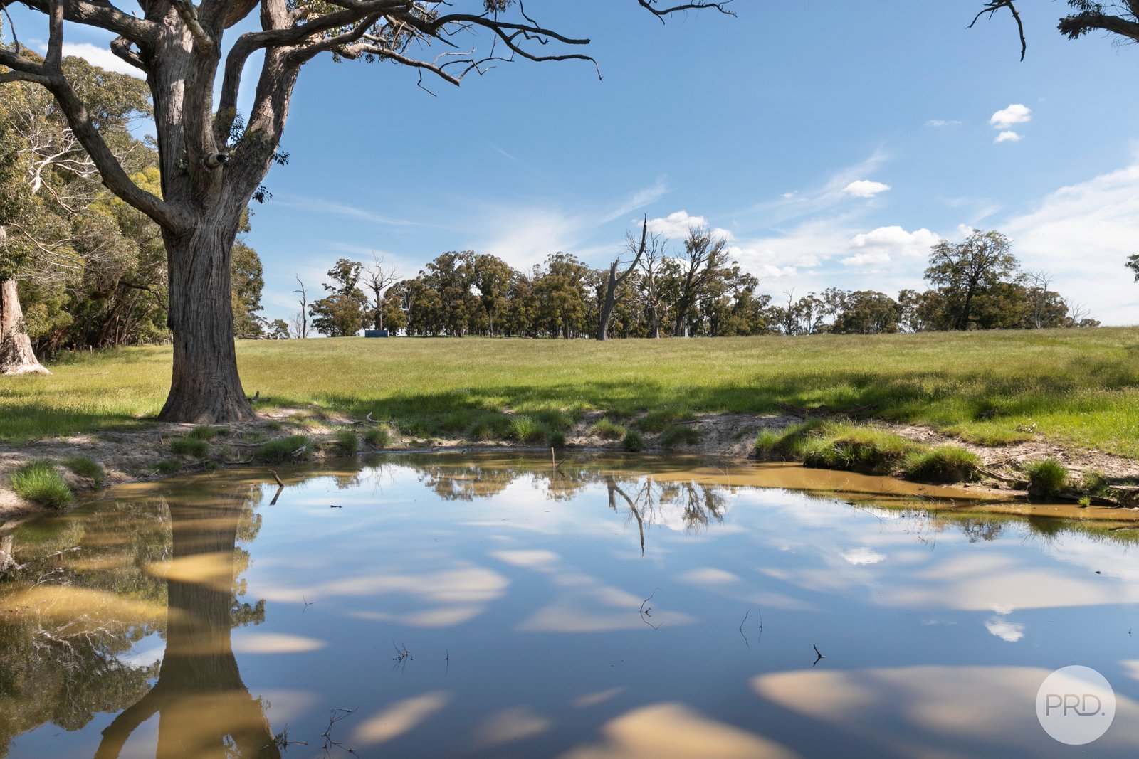 408 Skeltons Road SCOTSBURN 13