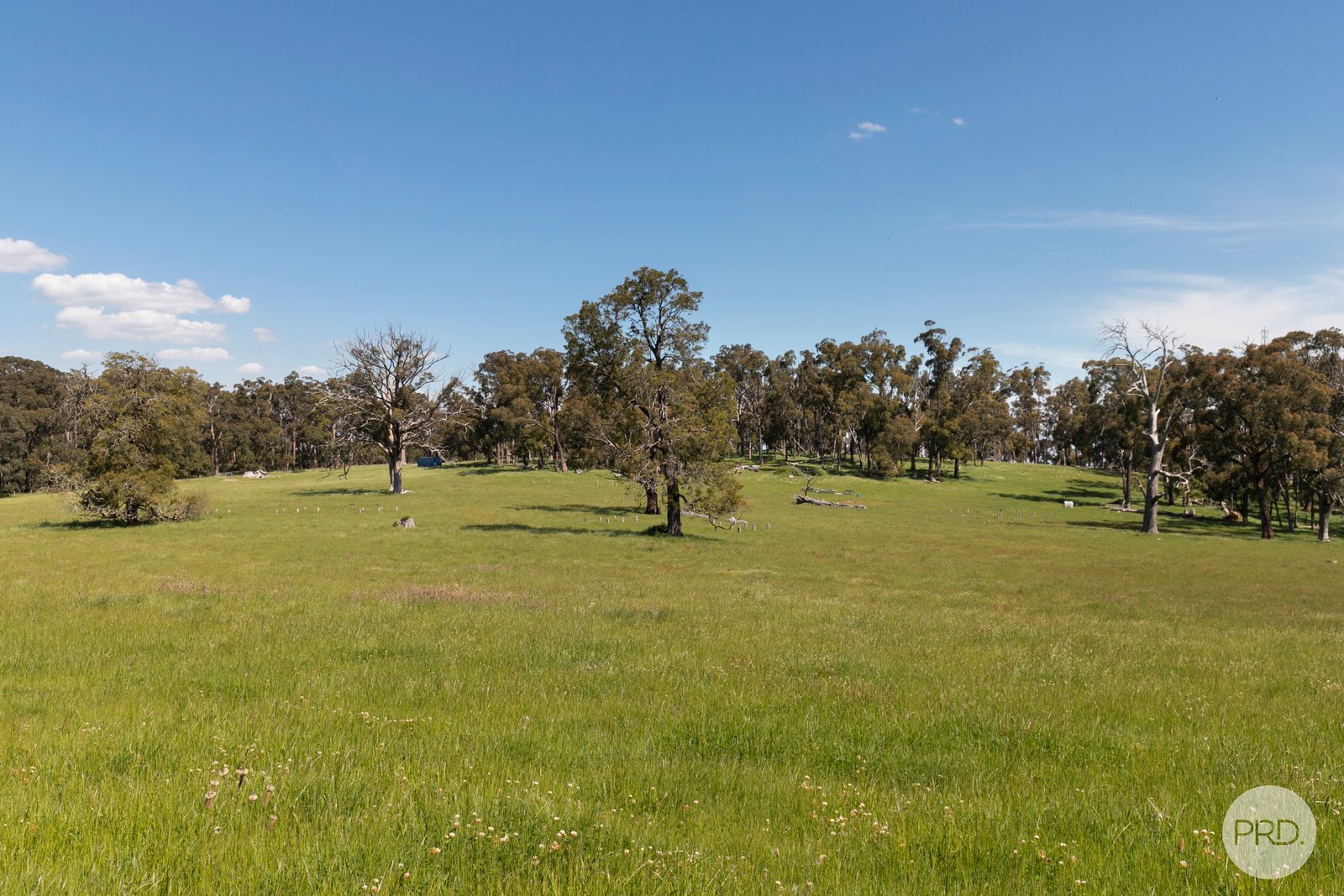 408 Skeltons Road SCOTSBURN 14