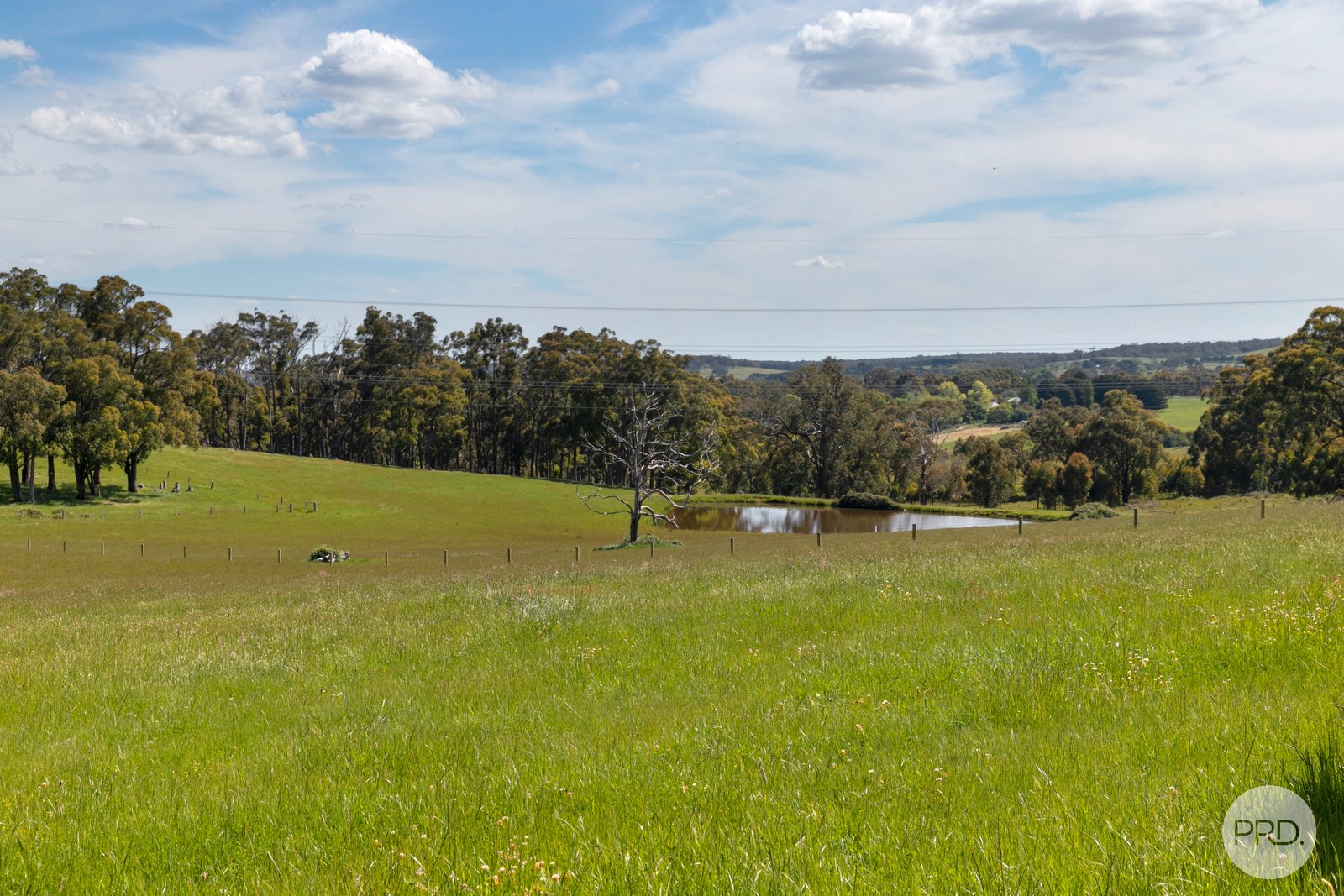 408 Skeltons Road SCOTSBURN 15