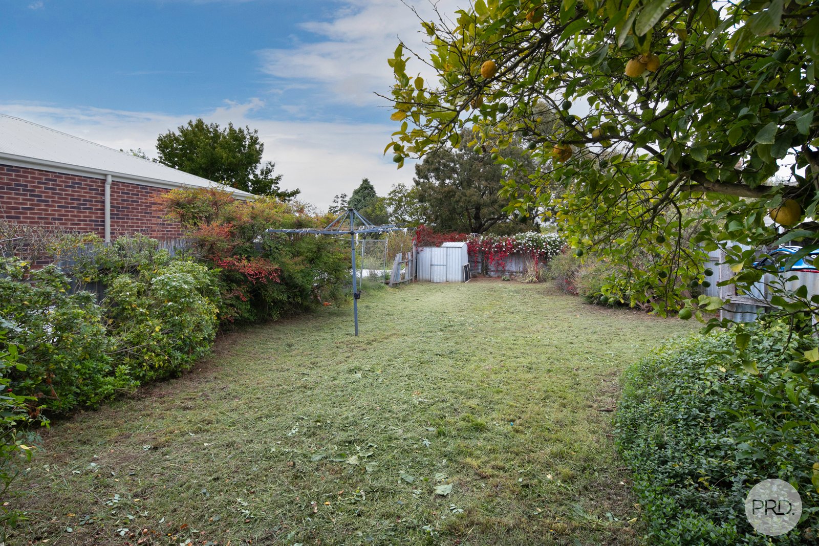 409 South Street BALLARAT CENTRAL 8