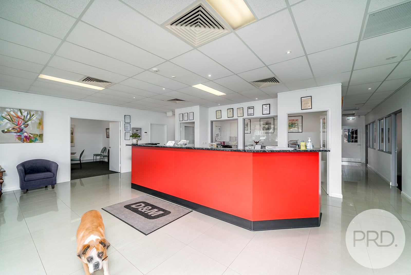 41-43 Copland Street WAGGA WAGGA 2