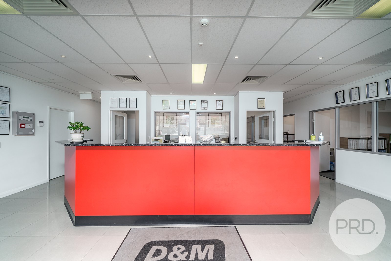 41-43 Copland Street WAGGA WAGGA 3