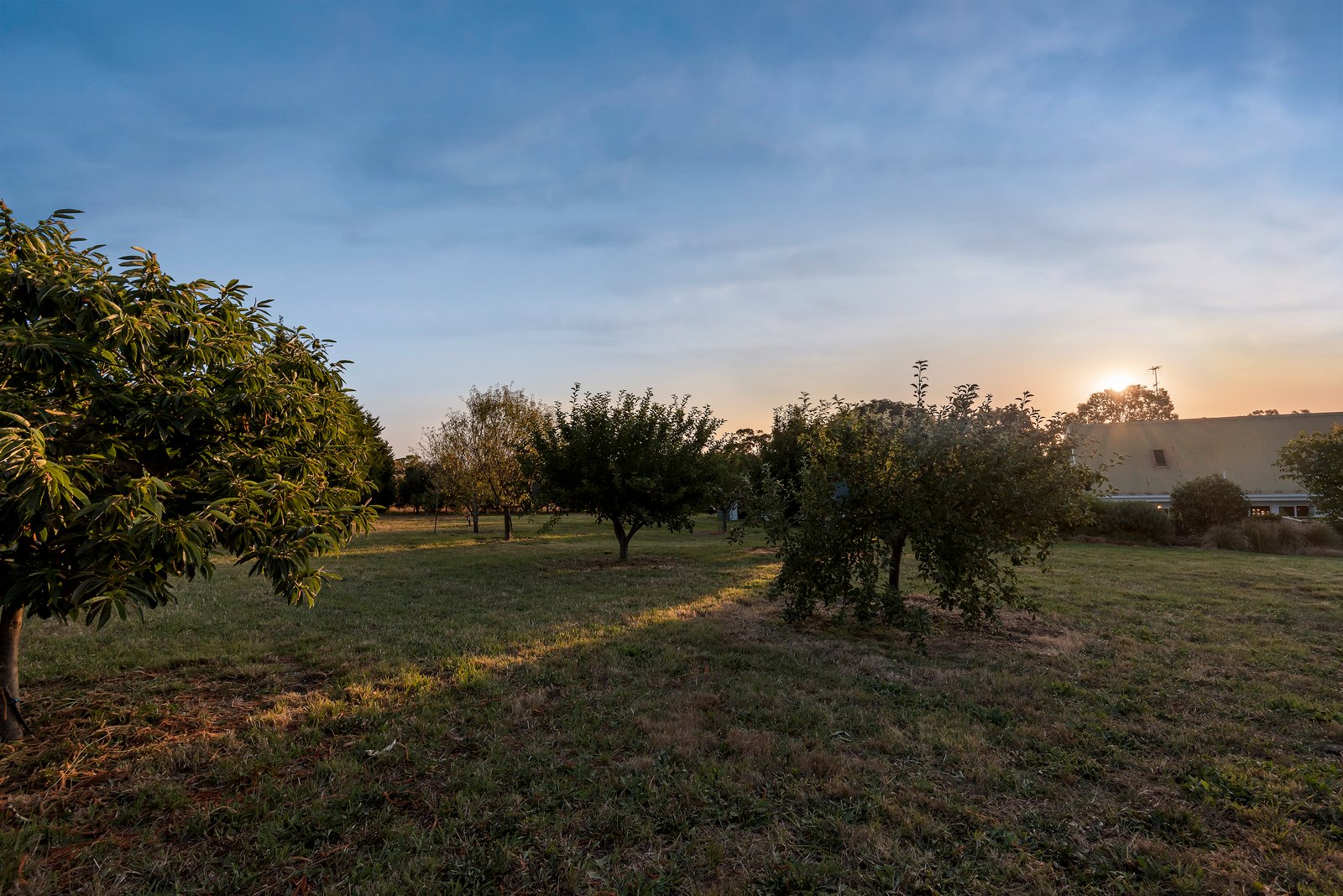 Real Estate and Property in 41-49 Martins Road, Drysdale, VIC