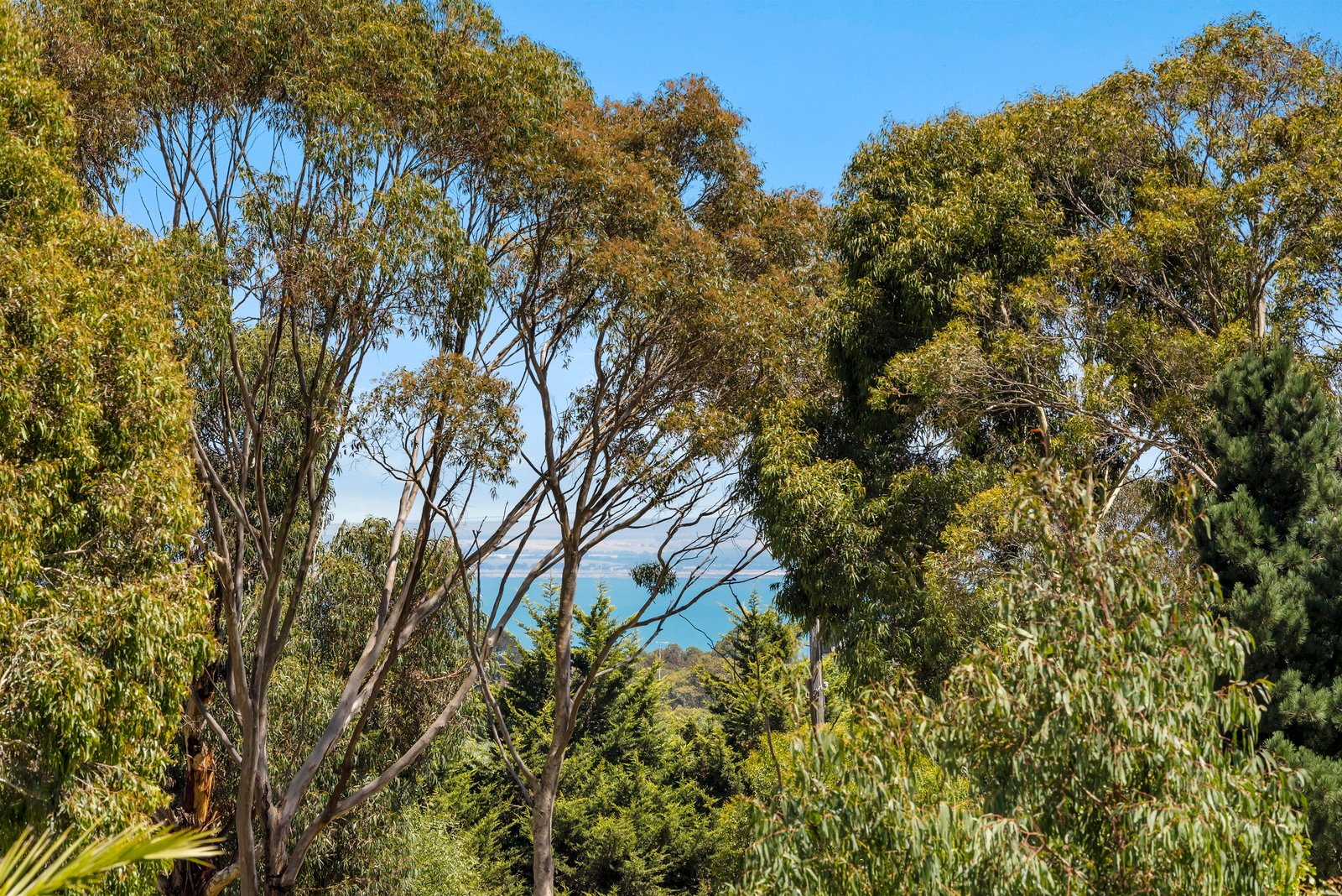 Real Estate and Property in 41-49 Martins Road, Drysdale, VIC