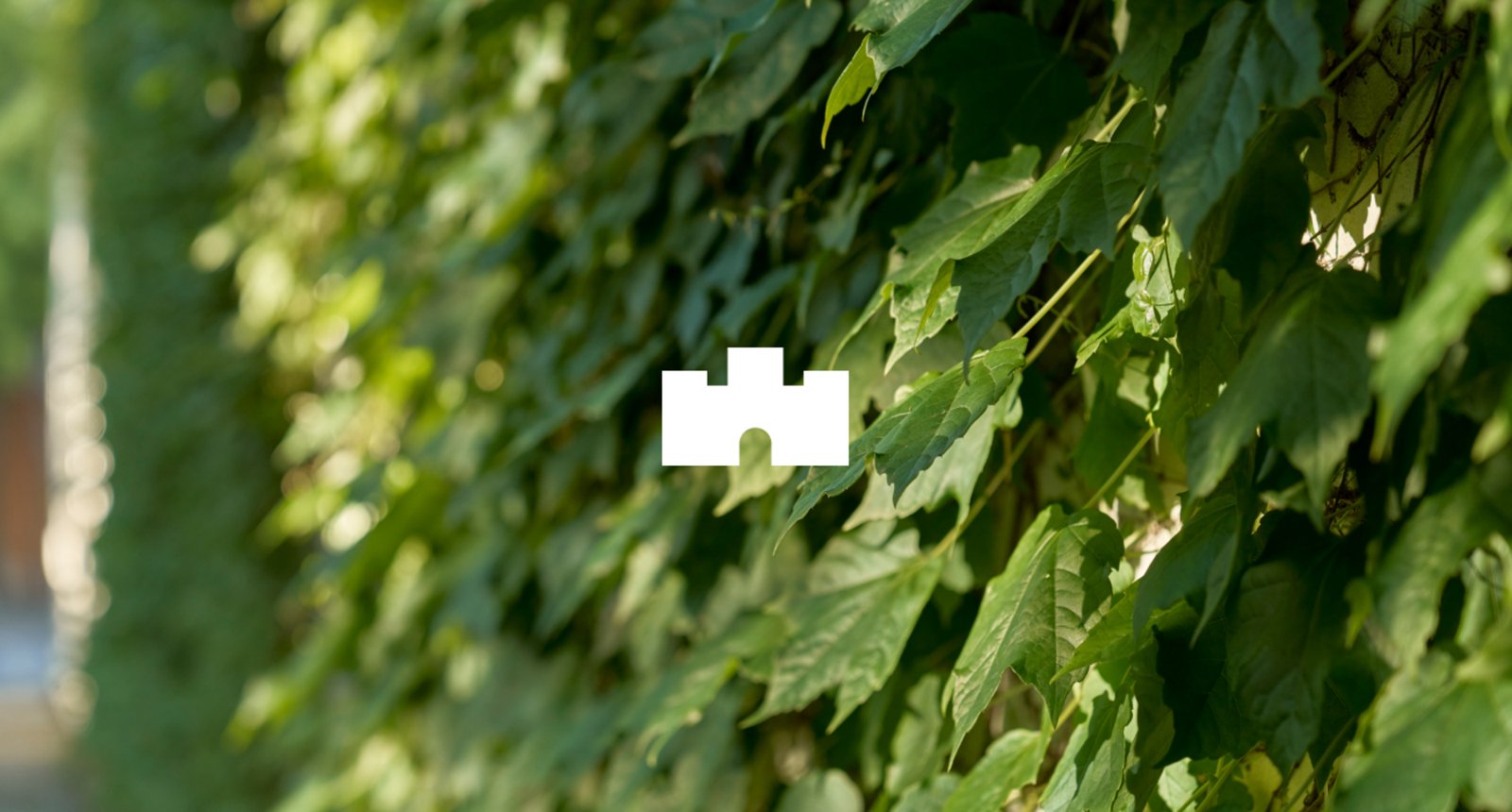 41 Barrett Street, Albert Park, 3206