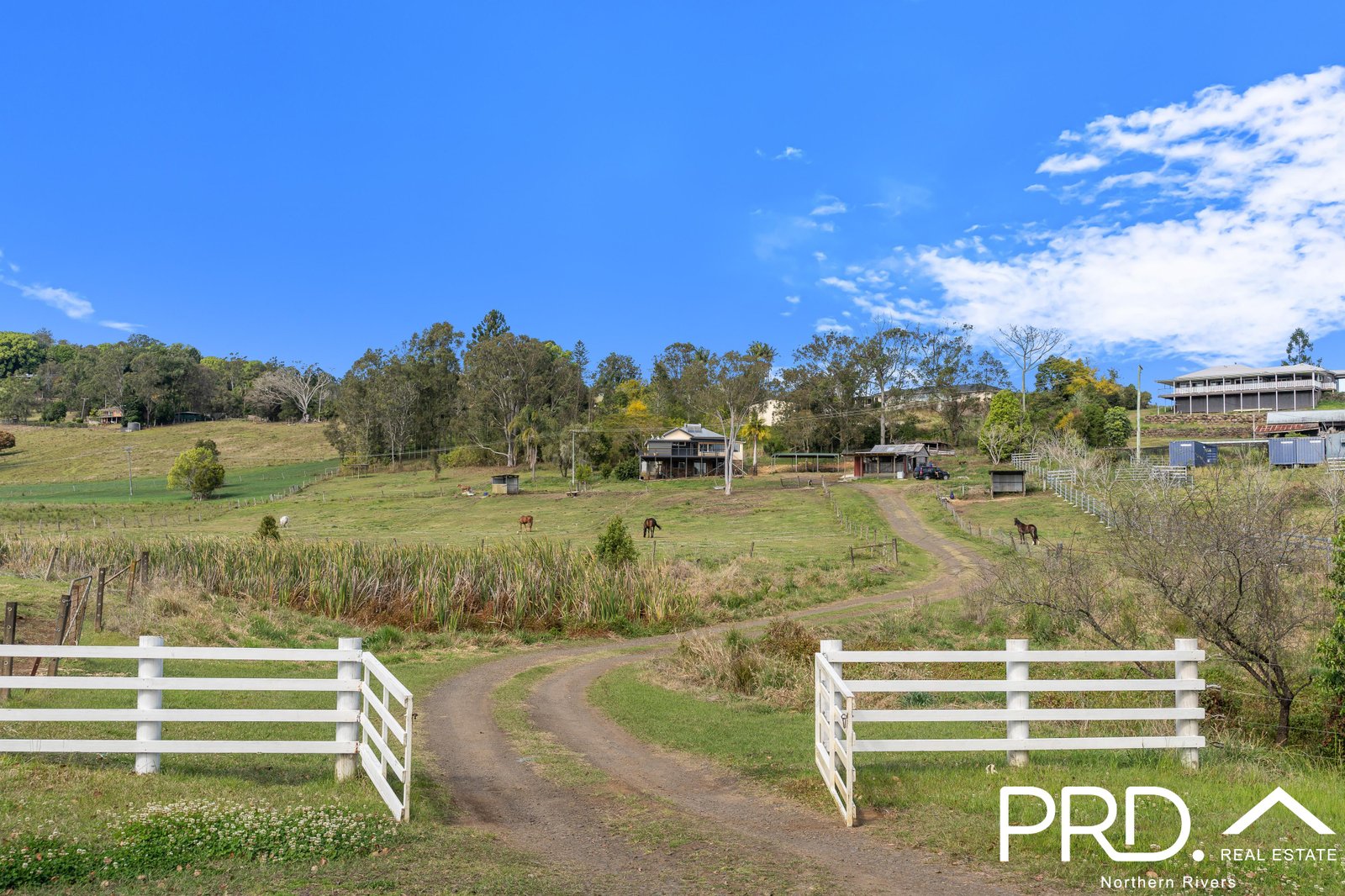 41 Boatharbour Road RICHMOND HILL 4