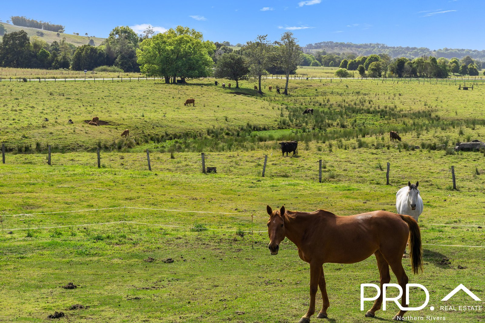 41 Boatharbour Road RICHMOND HILL 24