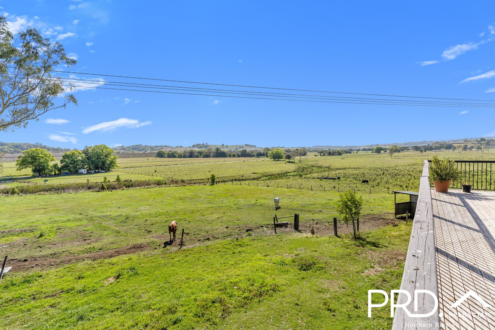 41 Boatharbour Road RICHMOND HILL 25