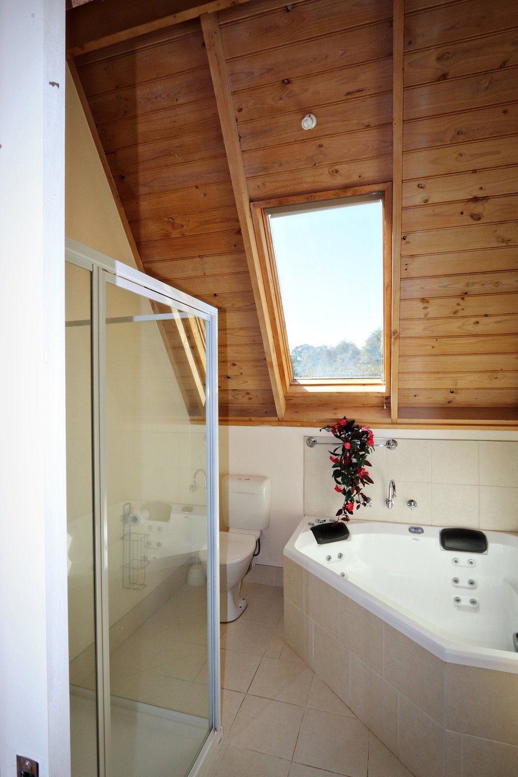 41 Booth Street TUMBARUMBA 14