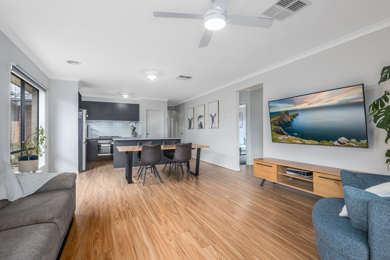 Gallery: 41 Callistemon Circuit