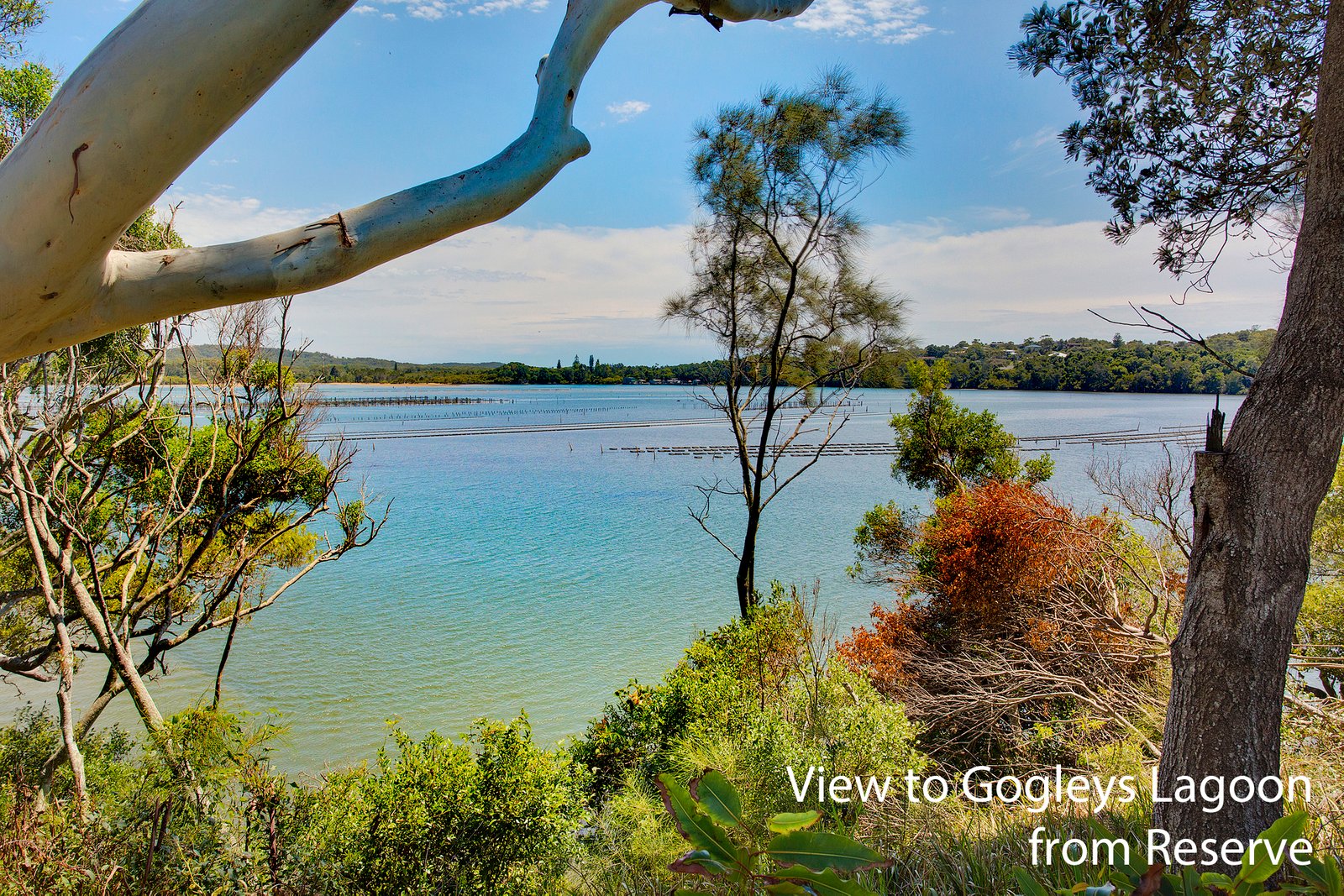 41 Camden Head Road DUNBOGAN 22