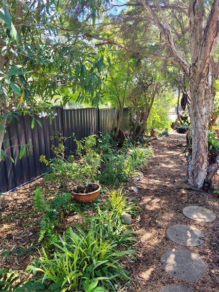 41 Capper Street TUMUT 13