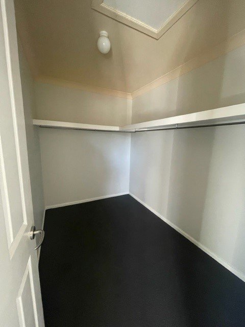 41 Clarance Drive NEW AUCKLAND 12