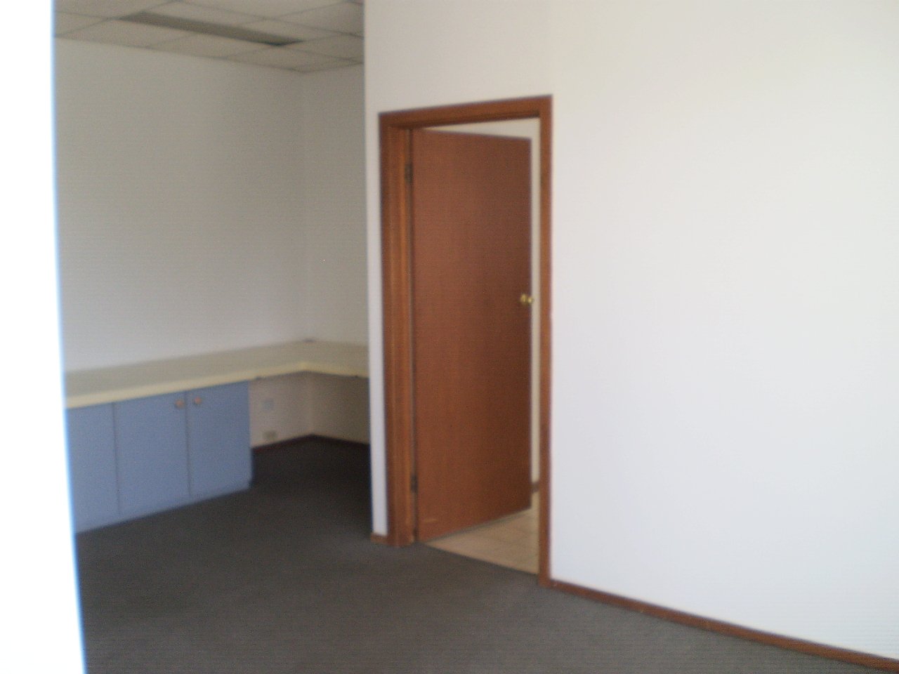 Gallery: 41 Cleeland Road