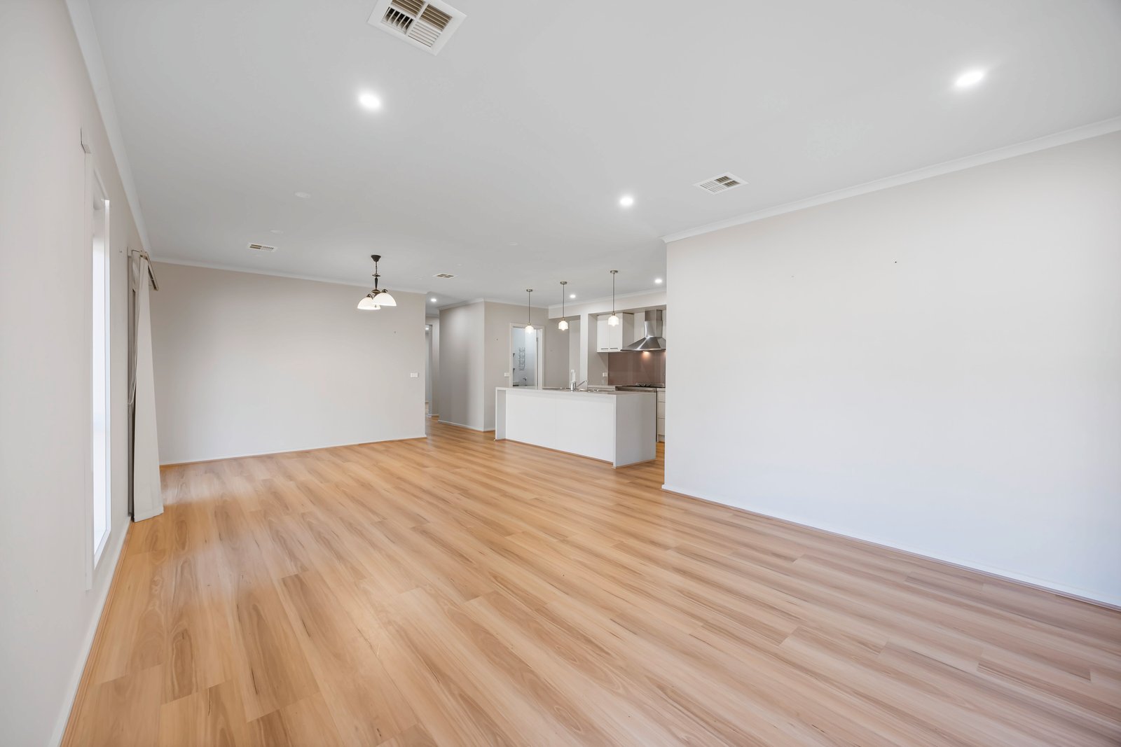 Gallery: 41 Cuzens Road