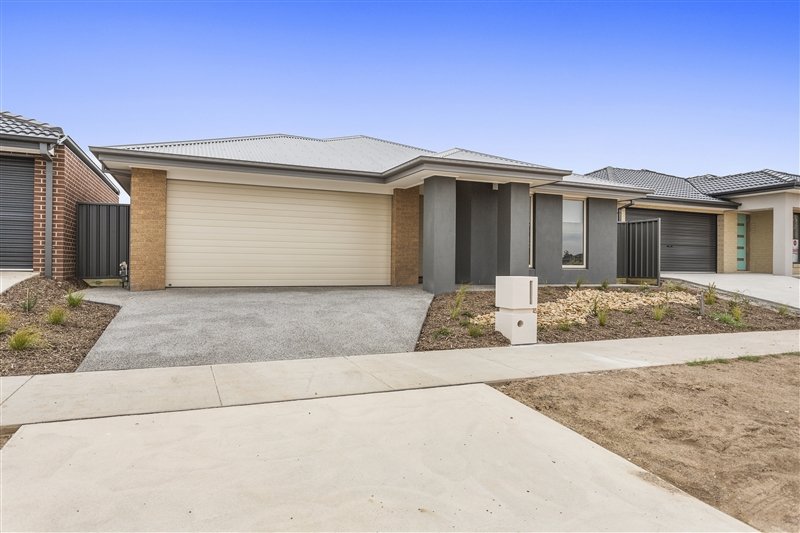 41 Daisy Street HUNTLY 1