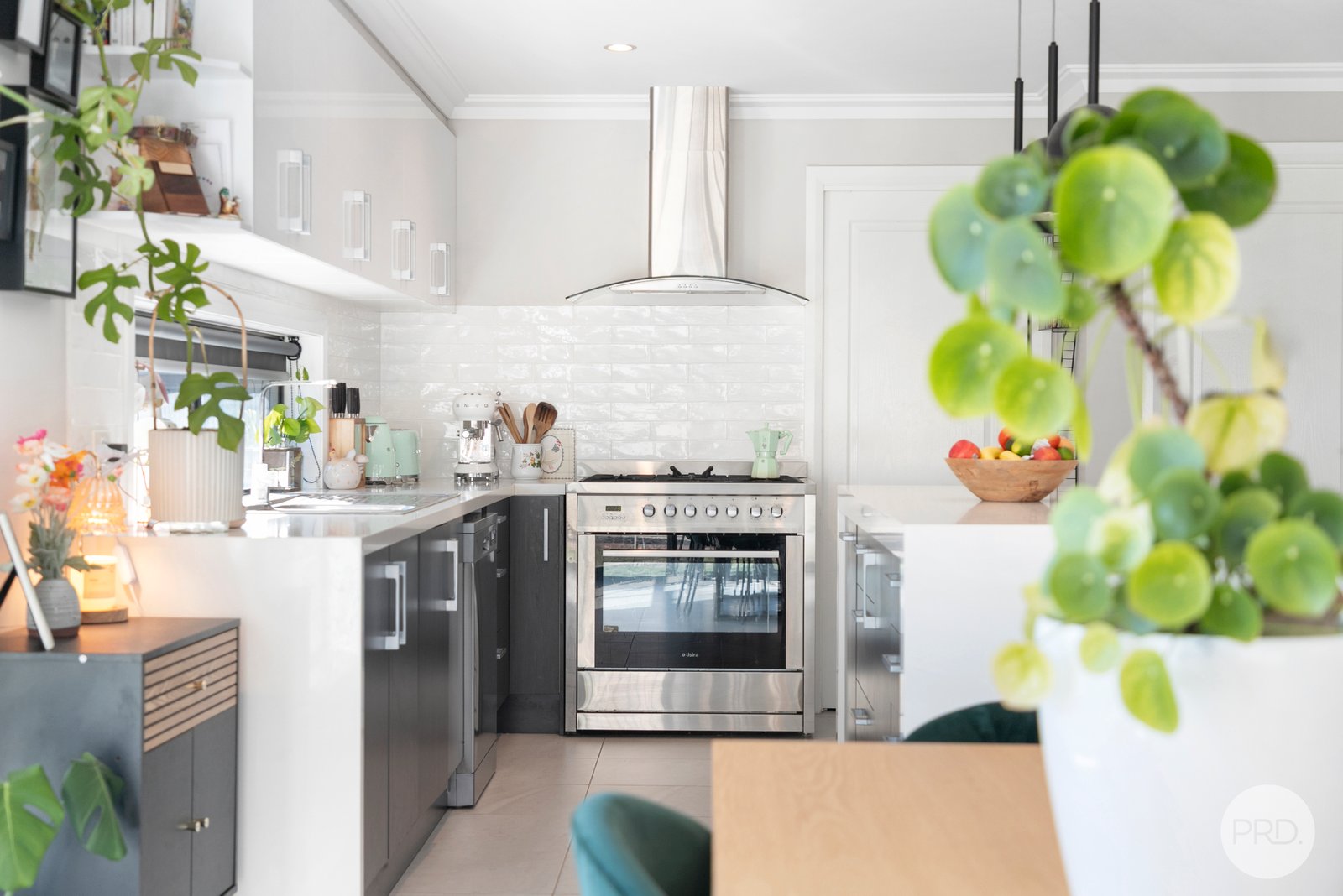 41 Elegante Road WINTER VALLEY 3