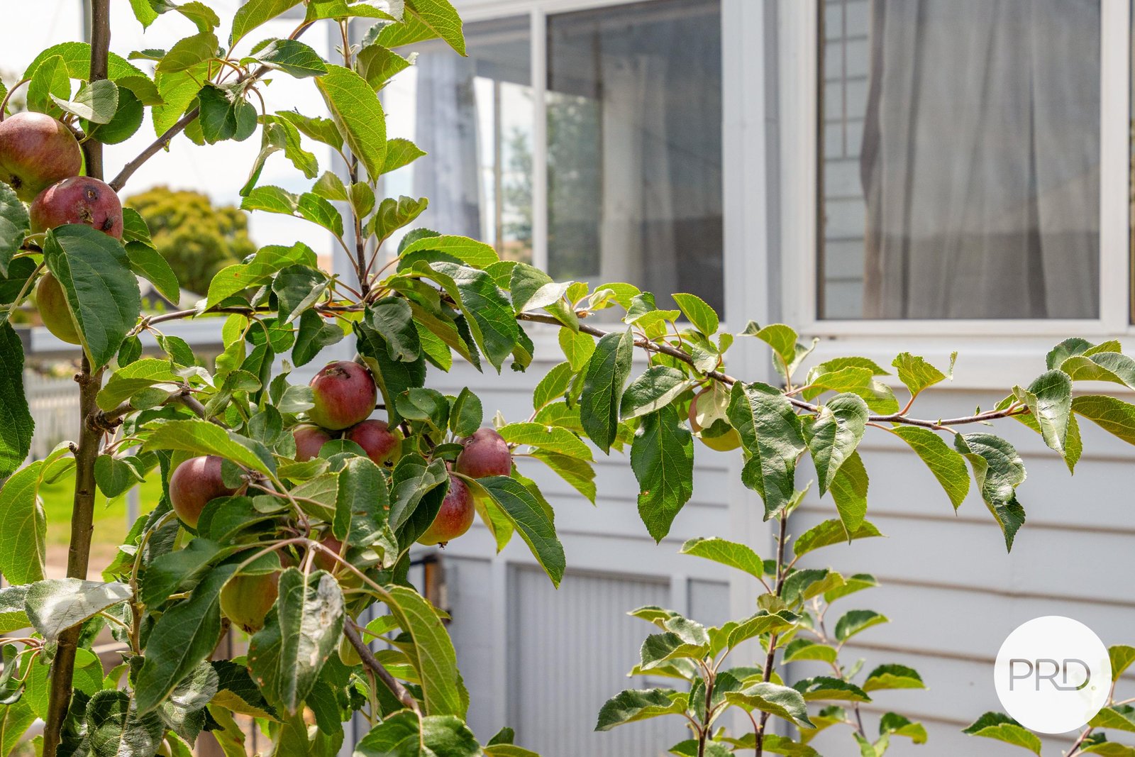 41 Franklin Place HAMILTON 21