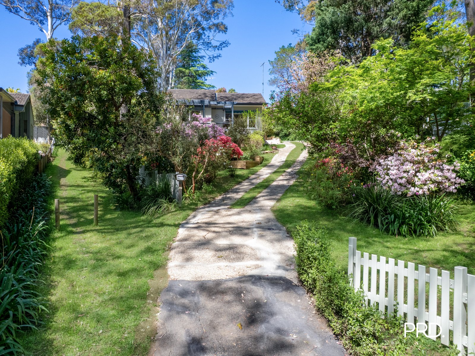 41 George Street SPRINGWOOD 3