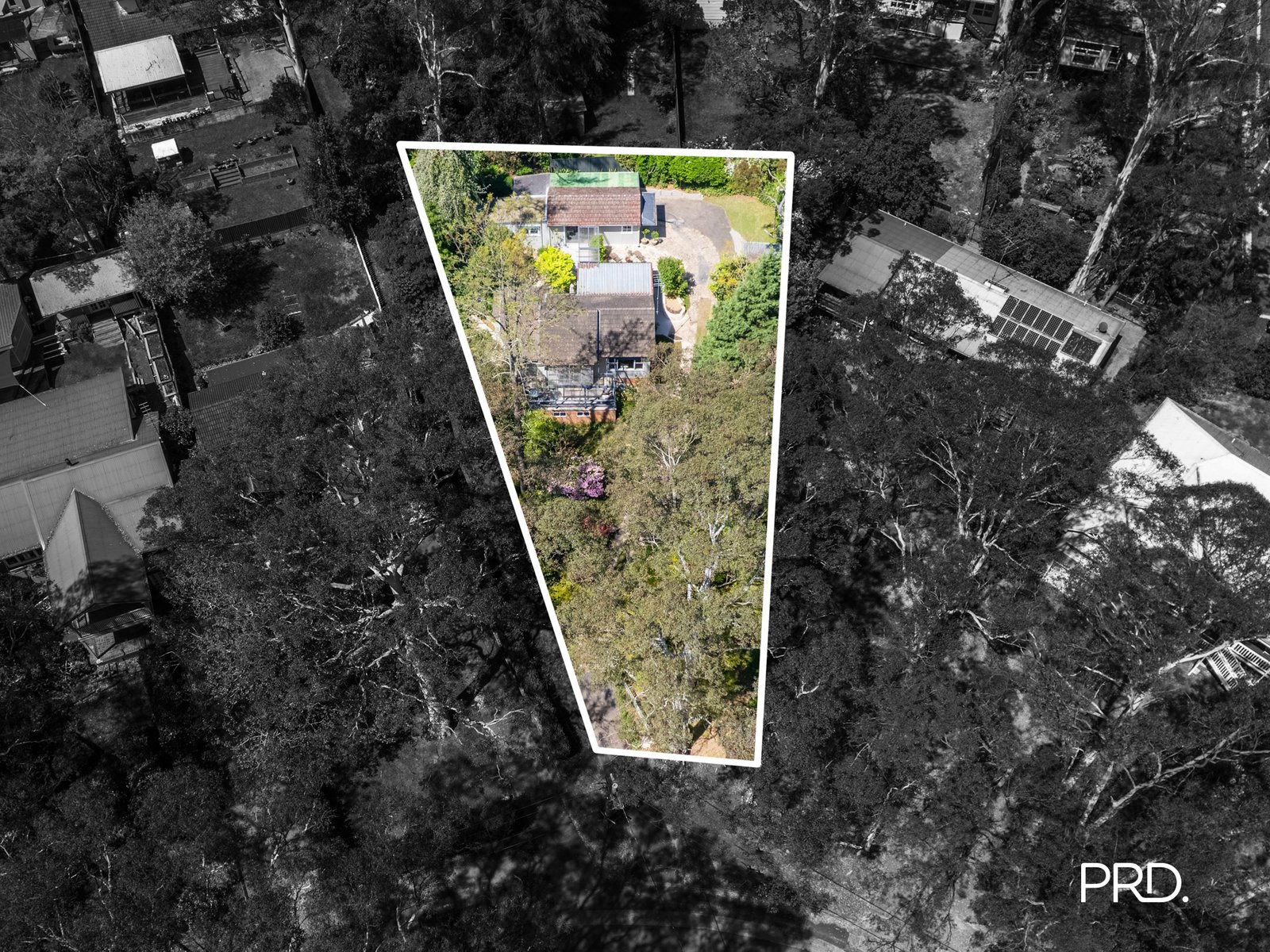 41 George Street SPRINGWOOD 16