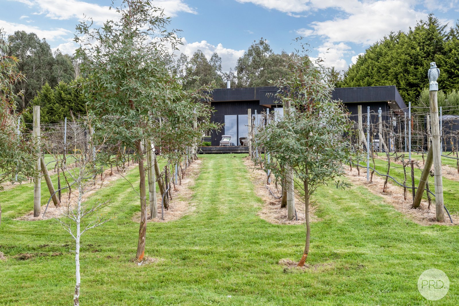 41 Hansons Road DUNNSTOWN 21