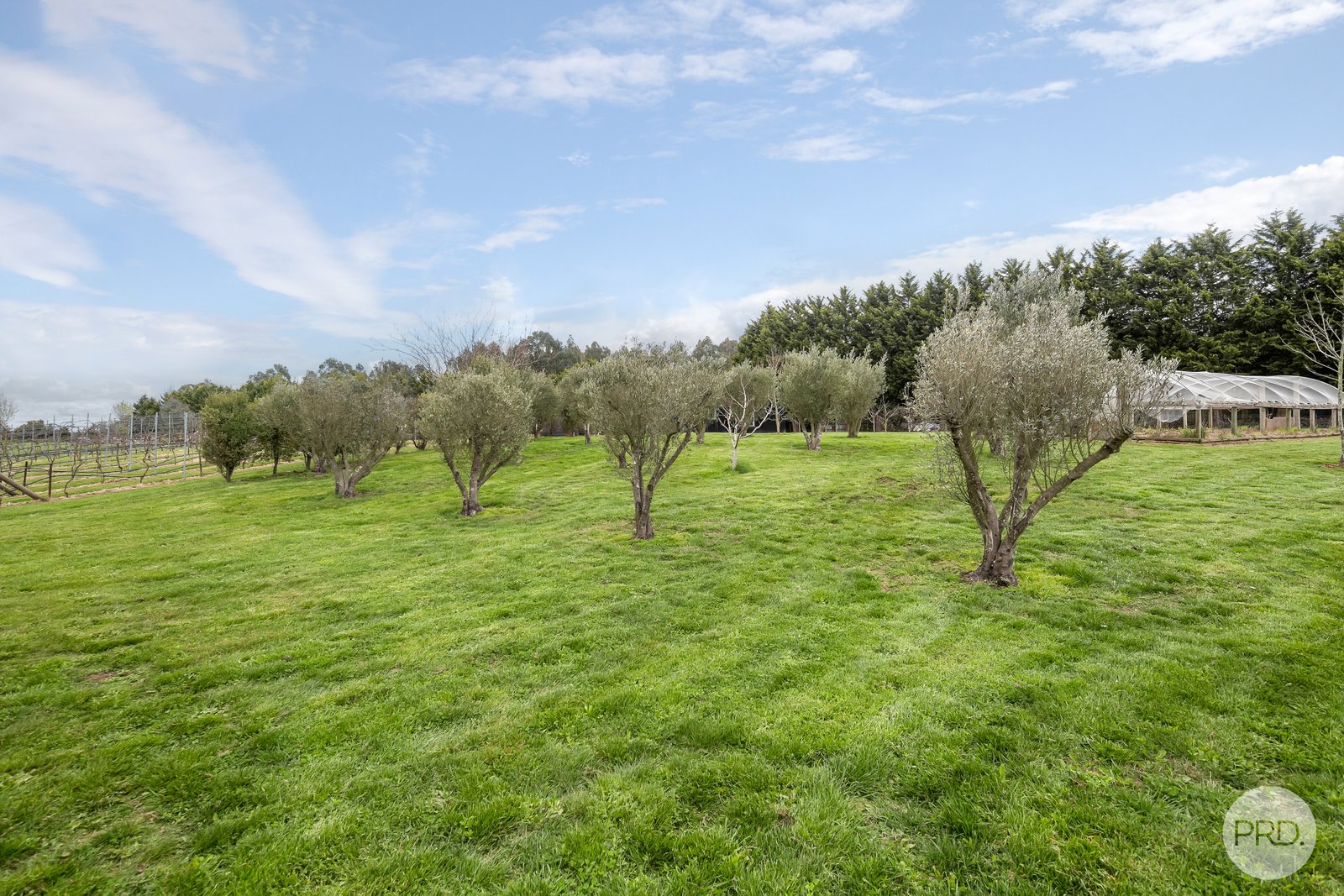 41 Hansons Road DUNNSTOWN 23