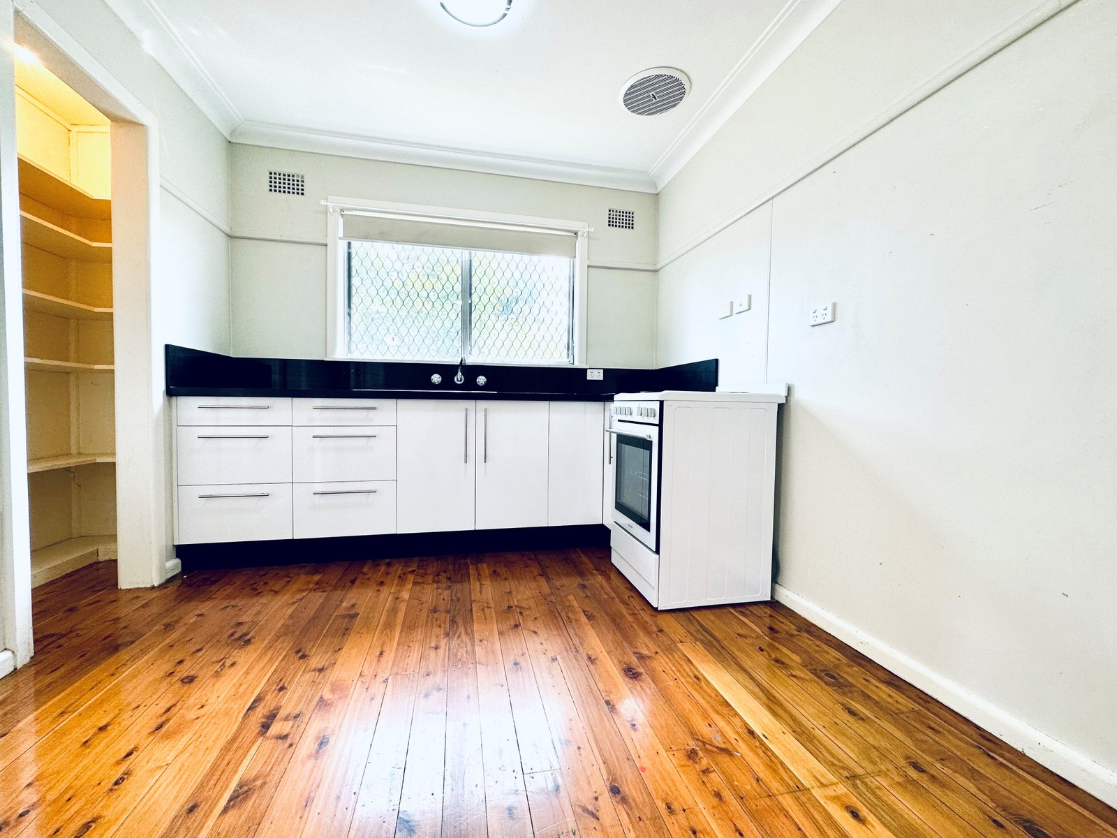 41 Holland Street TAMWORTH 7