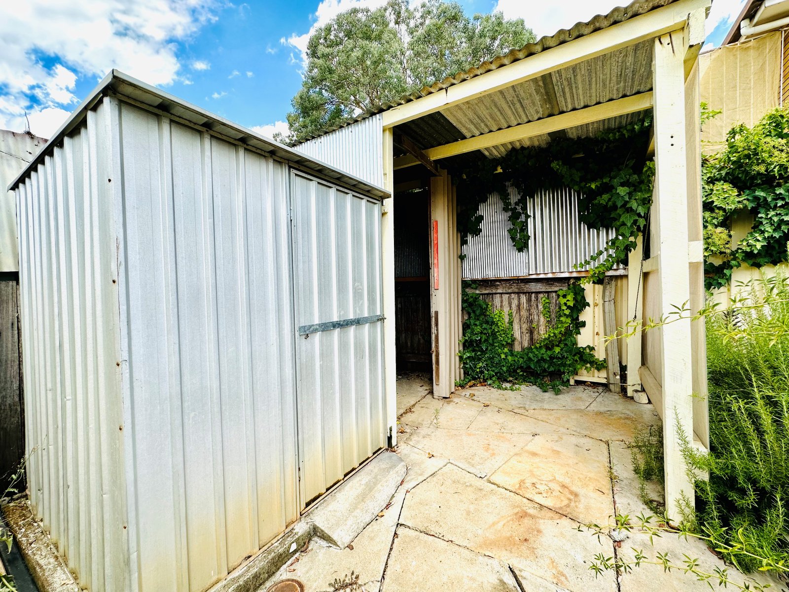 41 Holland Street TAMWORTH 19