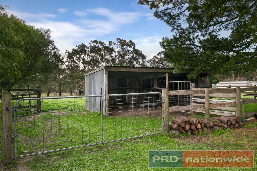 41 Leigh Court DEREEL 13