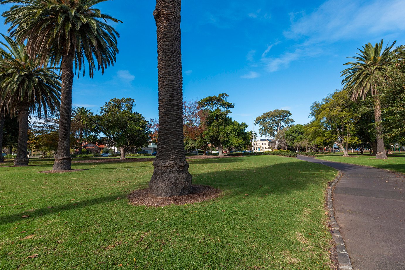 Real Estate and Property in 41 Melby Avenue, St Kilda East, VIC