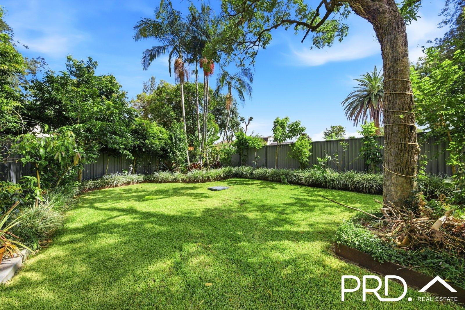 41 Monie Avenue EAST HILLS 9