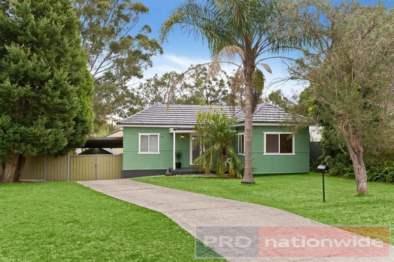 41 Monie Avenue EAST HILLS 1