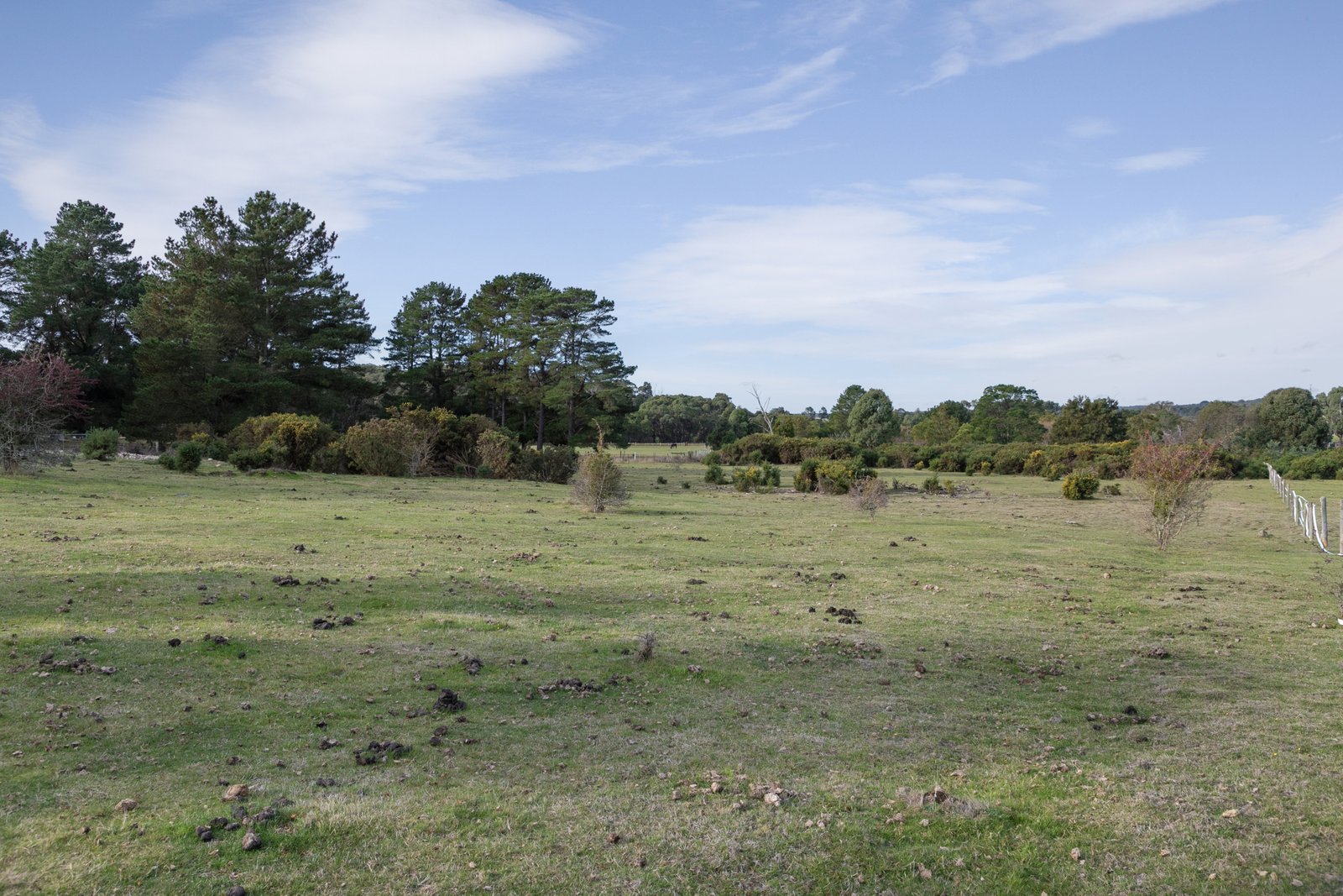 41 Moonies Dam Road SCARSDALE 7