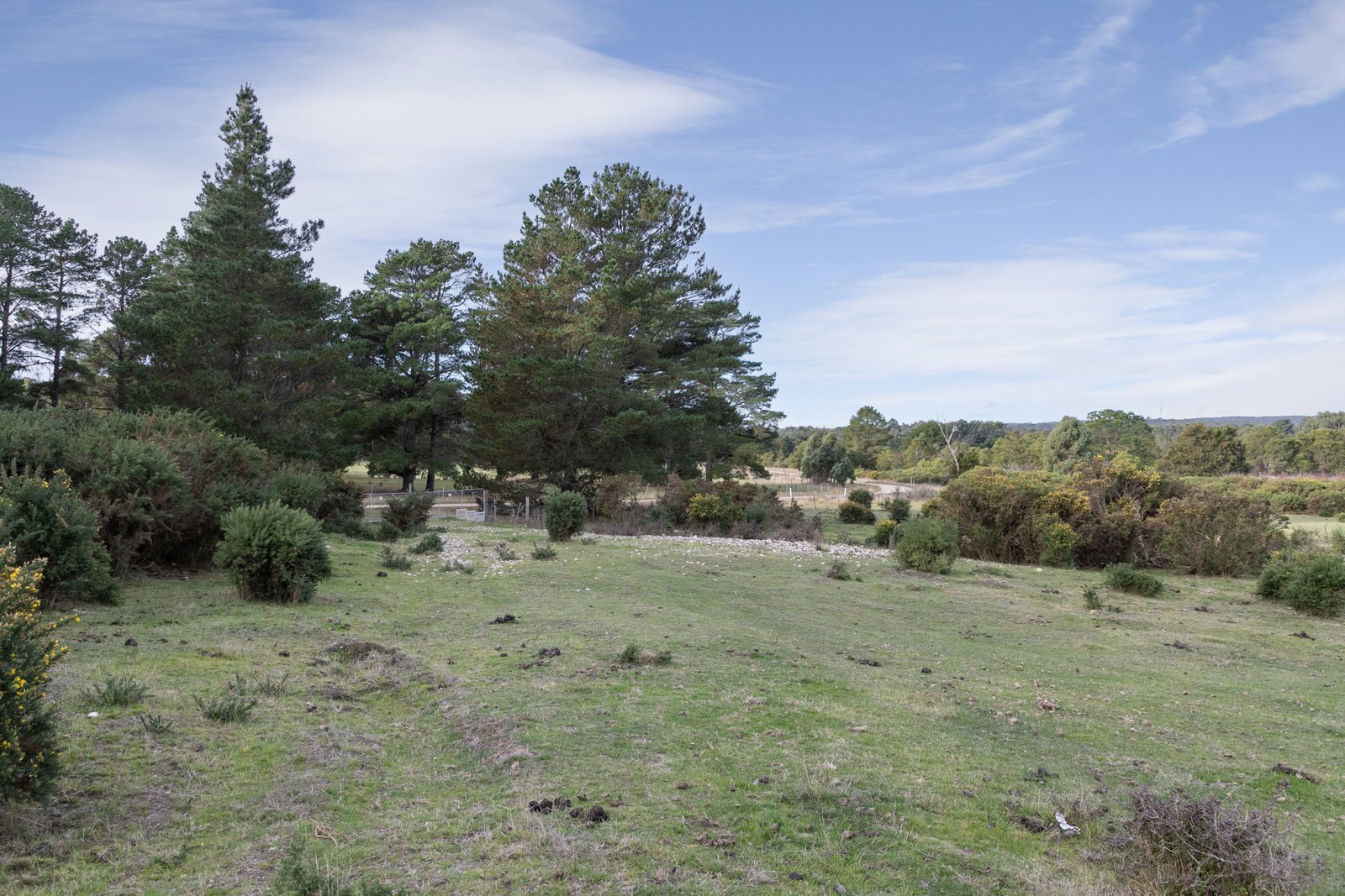 41 Moonies Dam Road SCARSDALE 8