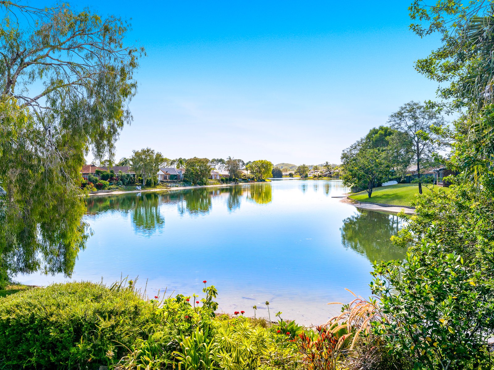 41 Murtha Drive ELANORA 3