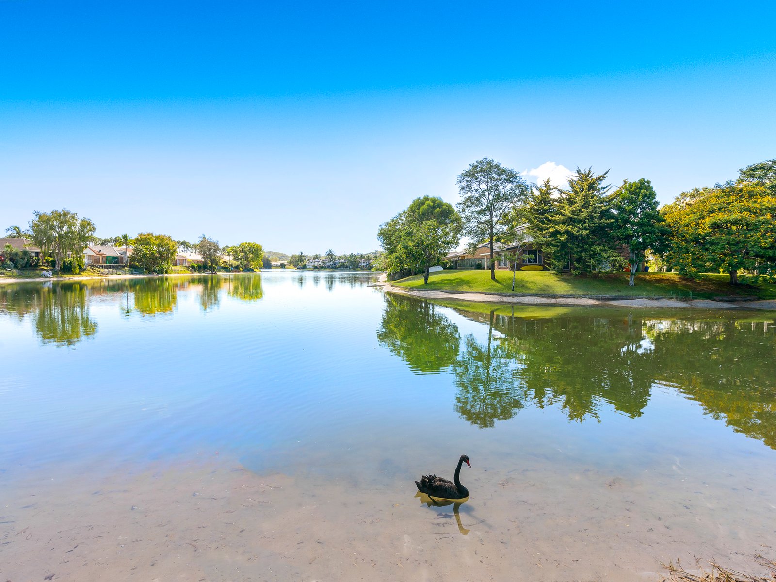 41 Murtha Drive ELANORA 13