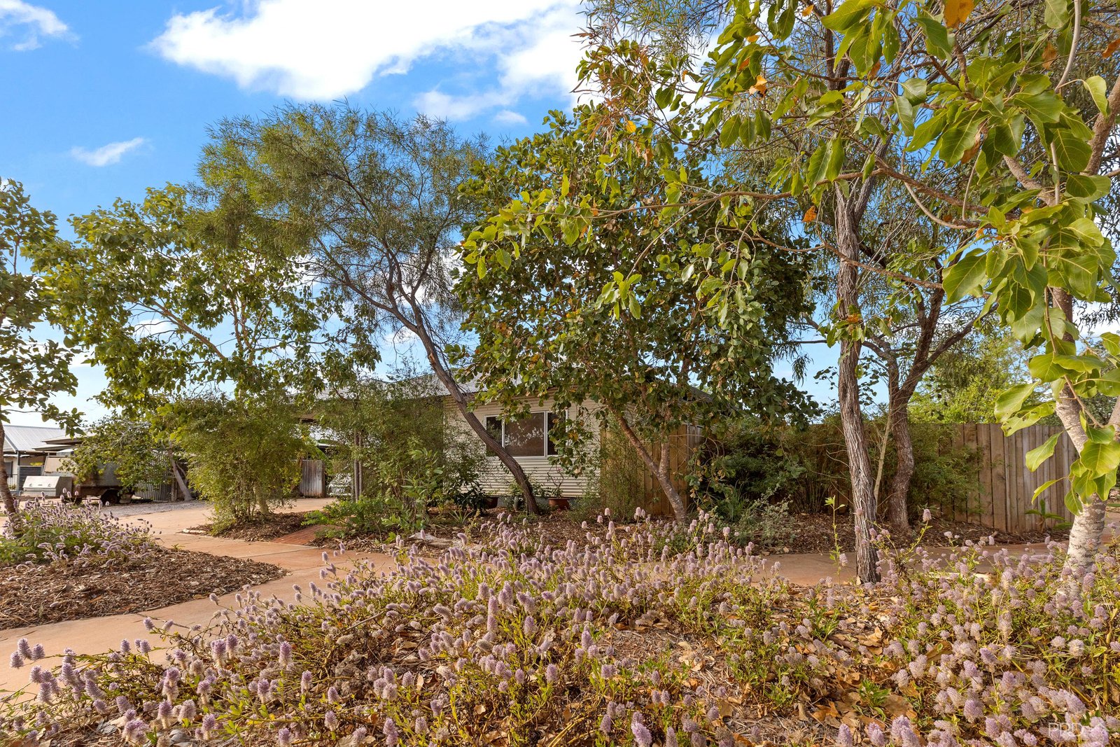 41 Nakamura Avenue BILINGURR 35