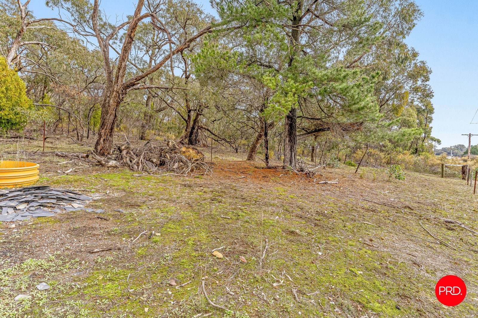 41 Pitman Street CHEWTON 7
