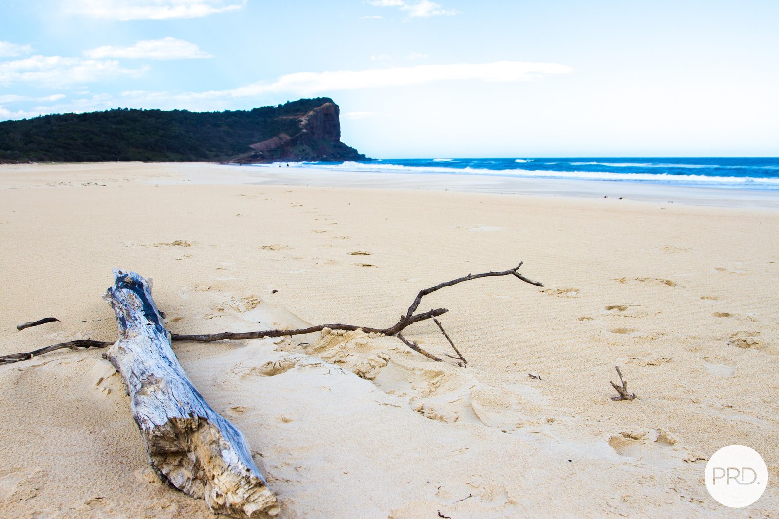 41 Prince of Wales Drive DUNBOGAN 10