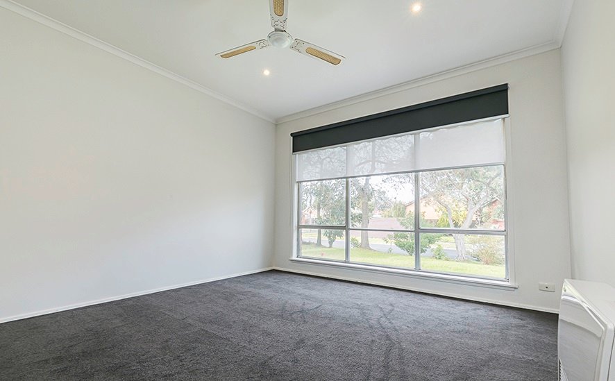Gallery: 41 Radiata Street