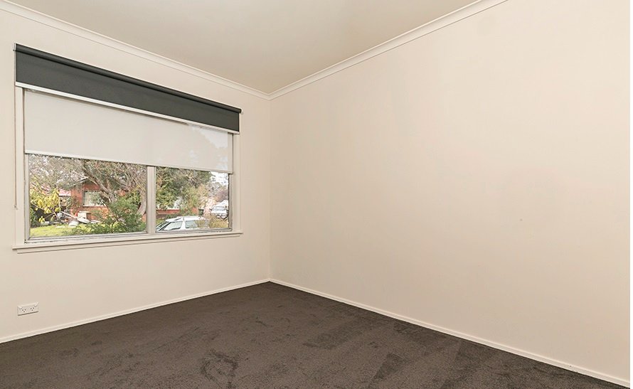 Gallery: 41 Radiata Street